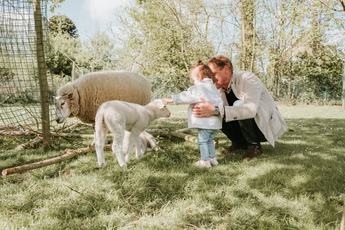 Kinderboerderij De Zeven Torentjes, Bruges