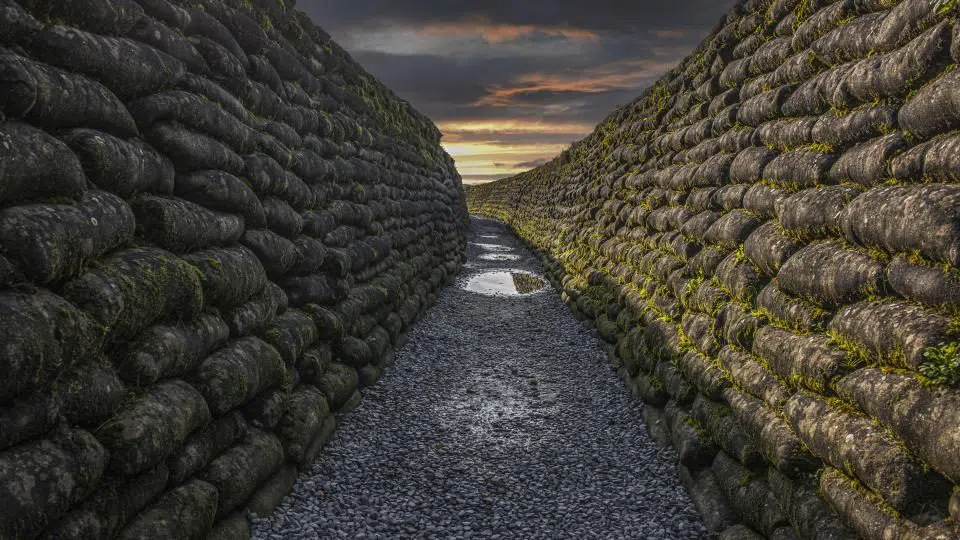 Trinchera de la Muerte (Dodengang), Brujas