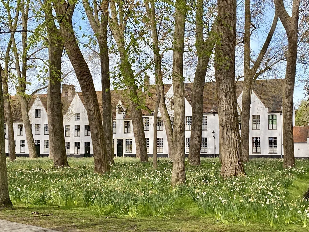 Bruges' Begijnhof Through the Seasons