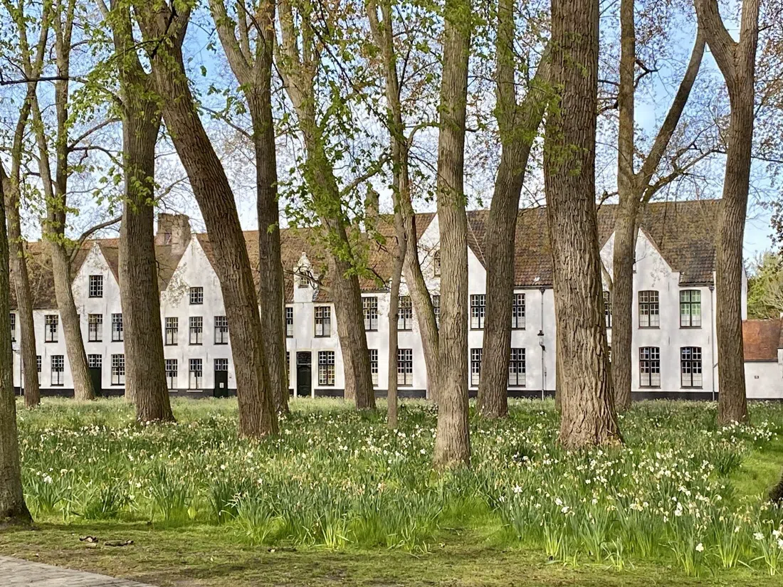 Princely Beguinage Ten Wijngaarde (Begijnhof), Bruges