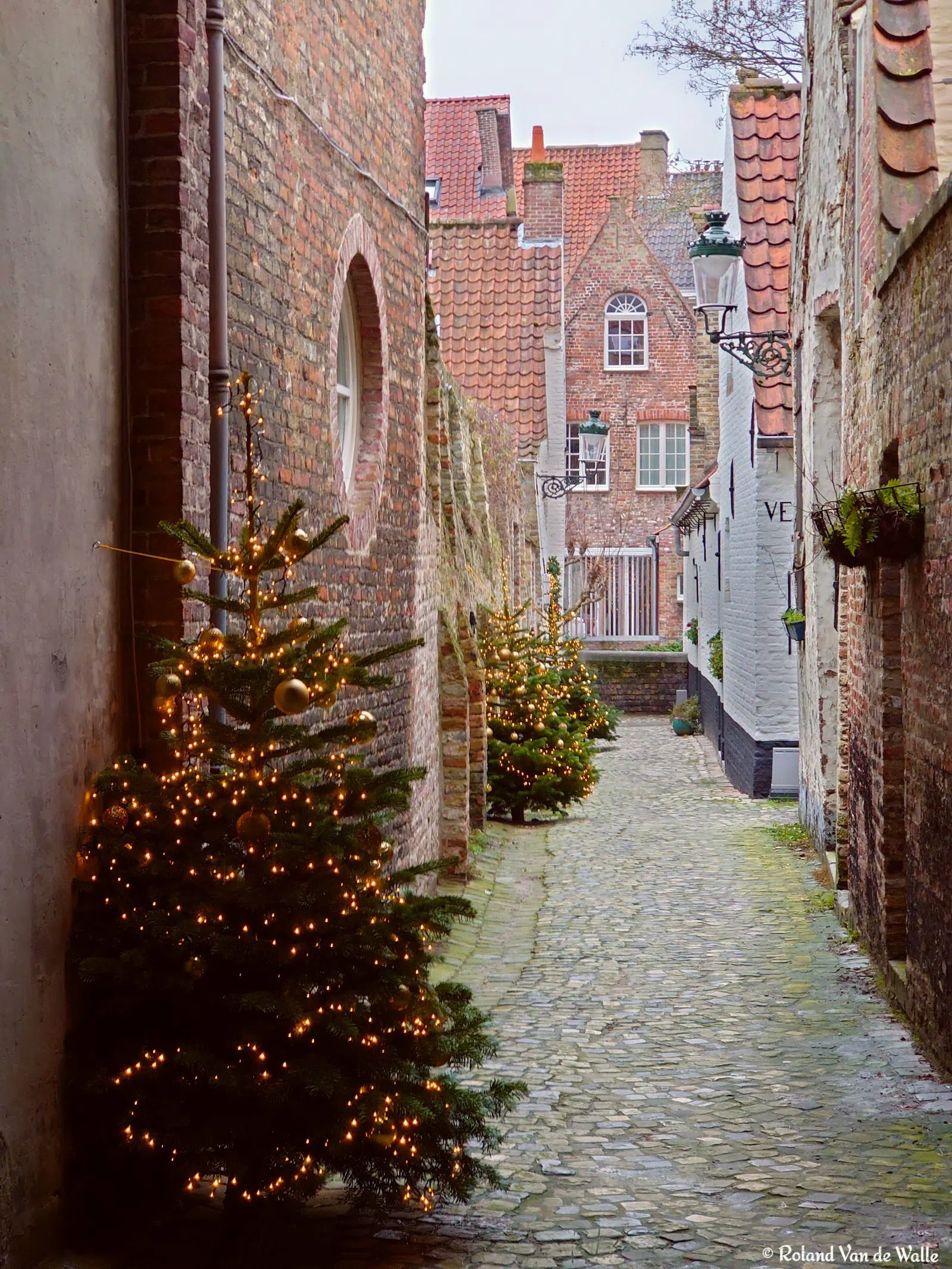 De Vette Vispoort & Goderickx Convent, Brugge